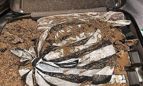 Nguoi dan ong TQ be nguyen mot to kien khong lo len may bay