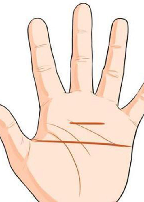 Ai có lòng bàn tay mang hai đường kẻ ngang một ngắn một dài thì sẽ là người rất tài giỏi. Vì thế họ luôn thành đạt và kiếm tiền như nước. Họ cũng là người biết cách quản lý tiền bạc nên mấy chẳng mấy chốc tài sản của họ cực đồi dào. Tuy nhiên người này nên kết hôn muộn mới mong có cuộc sống hạnh phúc.