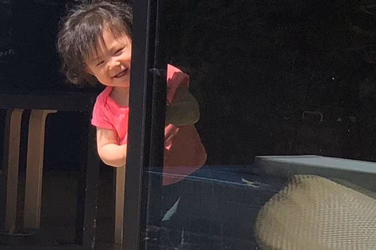 Trần Quán Hy vừa chia sẻ hình ảnh con gái chơi trò trốn tìm cùng bố trên trang cá nhân.