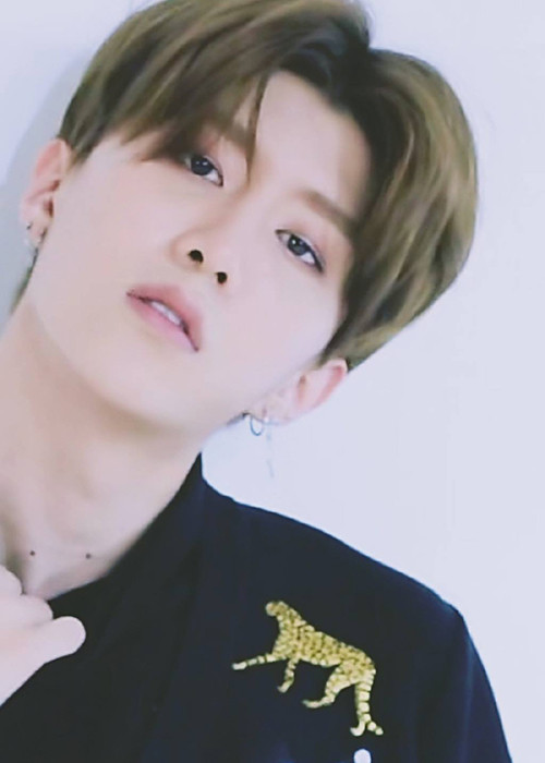 Thi ca hát, Phạm Thừa Thừa nhận được sự ủng hộ của chị gái và anh rể tương lai Lý Thần. Ảnh: Fanpage