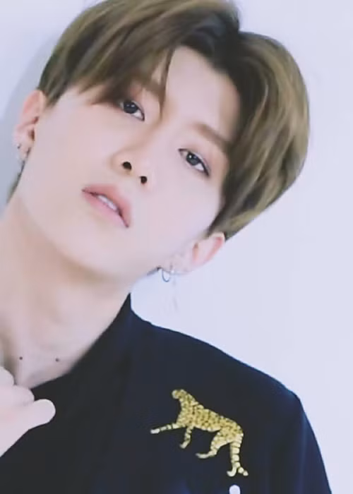 Thi ca hát, Phạm Thừa Thừa nhận được sự ủng hộ của chị gái và anh rể tương lai Lý Thần. Ảnh: Fanpage