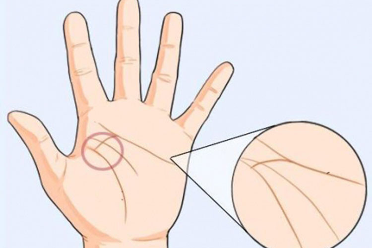 Theo quan niệm của người xưa, sinh mệnh cuộc sống của mỗi người khi sinh ra đều đã được quyết định và nó phản ánh trên những đường chỉ tay. Đây không phải là những quan niệm sai lầm mà thực tế nó đã được chứng minh tính đúng đắn ở cực kỳ nhiều trường hợp. Dưới đây là những đường chỉ tay mà theo đó, ai mà có được hẳn sẽ nhận được vinh hoa phú quý cả đời. Theo nhân tướng học, những ai mà có đường vân tay dù trái hay phải không sớm thì muộn cũng sẽ được hưởng vinh hoa, tiền tài đầy nhà, con đường sự nghiệp luôn cực kỳ thênh thang. Tuy nhiên có lợi thì cũng có hại. Đường hôn nhân của người này không mấy hạnh phúc, nhưng nếu lập gia đình muộn thì có thể sẽ hóa giải được.