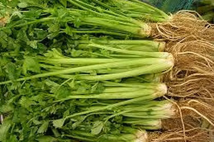 Giữ cân bằng các chất hóa học và điện giải như natri và magiê được cho là một trong những yếu tố quan trọng giải độc cơ thể. Cần tây là một nguồn giàu natri hữu cơ giúp loại bỏ carbon dioxide từ cơ thể tốt hơn. Do đó, cần tây có lợi cho người bị hen suyễn. Vì vậy, nên thêm nước ép cần tây tươi vào chế độ dinh dưỡng, vì nước ép cần tây chứa hàm lượng cao vitamin C giúp giảm viêm ở phổi.