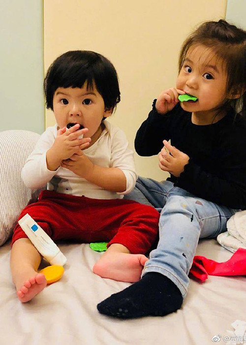 Hình ảnh bé Bubu và bé Bobo thường xuyên được Giả Tịnh Văn khoe với người hâm mộ.
