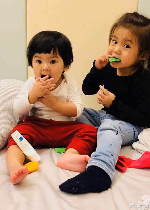 Hình ảnh bé Bubu và bé Bobo thường xuyên được Giả Tịnh Văn khoe với người hâm mộ.