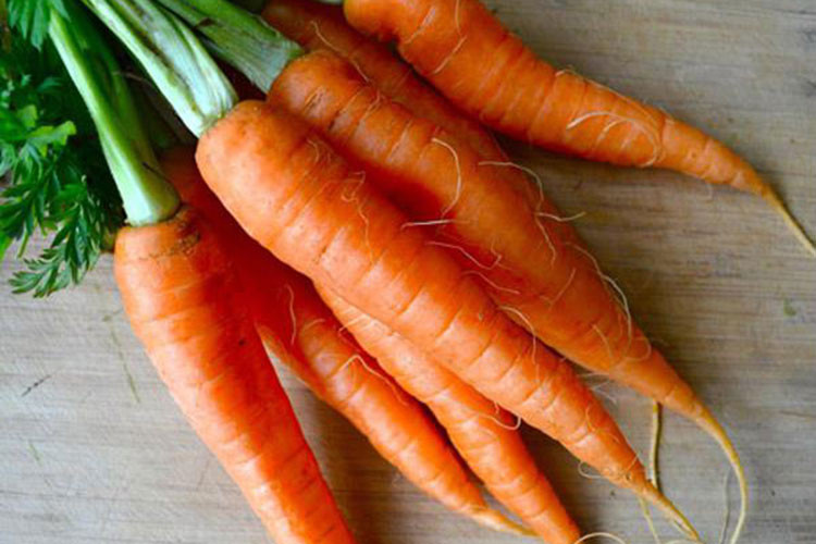 Trong cà rốt có vitamin A, vitamin C và các chất chống oxy hóa như lycopene, có thể cải thiện sức khỏe phổi và làm giảm nguy cơ mắc bệnh phổi. Các nhà nghiên cứu cho rằng, thực phẩm này có thể làm giảm nguy cơ ung thư phổi khoảng 50%.