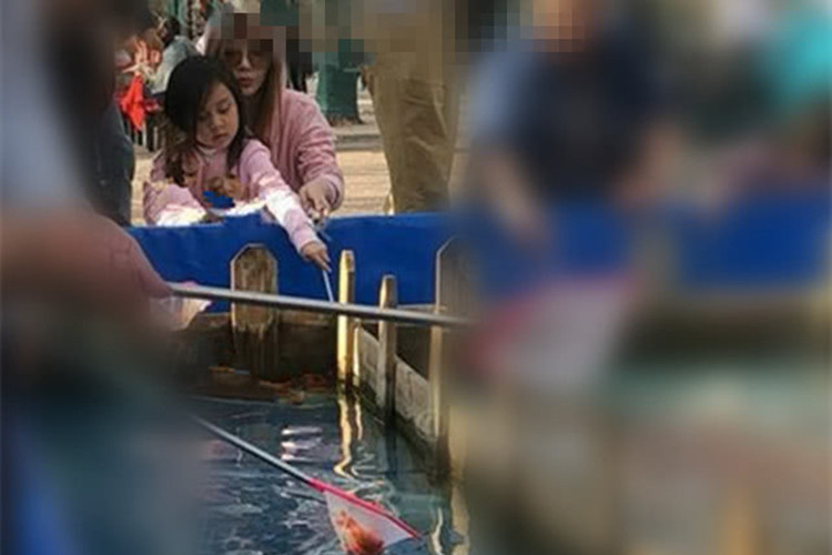 Một số cư dân mạng vừa bắt gặp nữ diễn viên Lý Tiểu Lộ đưa con gái Điềm Hinh đi chơi công viên.