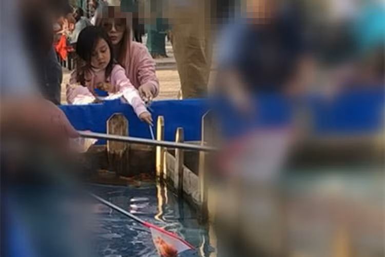 Một số cư dân mạng vừa bắt gặp nữ diễn viên Lý Tiểu Lộ đưa con gái Điềm Hinh đi chơi công viên.