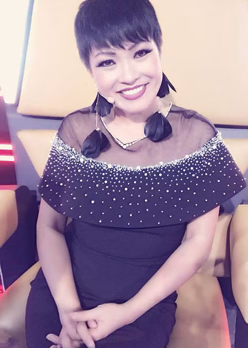 Phương Thanh mong fans hãy để cô được sống cho cảm xúc của chính mình và gia đình một chút.