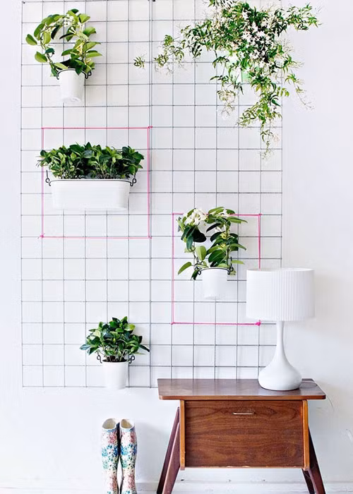 Vấn đề: Phòng nhỏ không có vườn: Bạn vẫn có thể tạo ra một khu vườn thẳng đứng ngay trong căn phòng nhỏ nhà mình bằng cách lắp một chiếc giá có nhiều ô lên tường và treo những chậu cây lên trên giá.