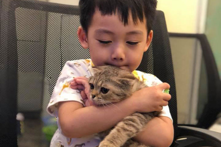 Con trai của siêu mẫu Ngọc Thạch rất yêu quý loài mèo.