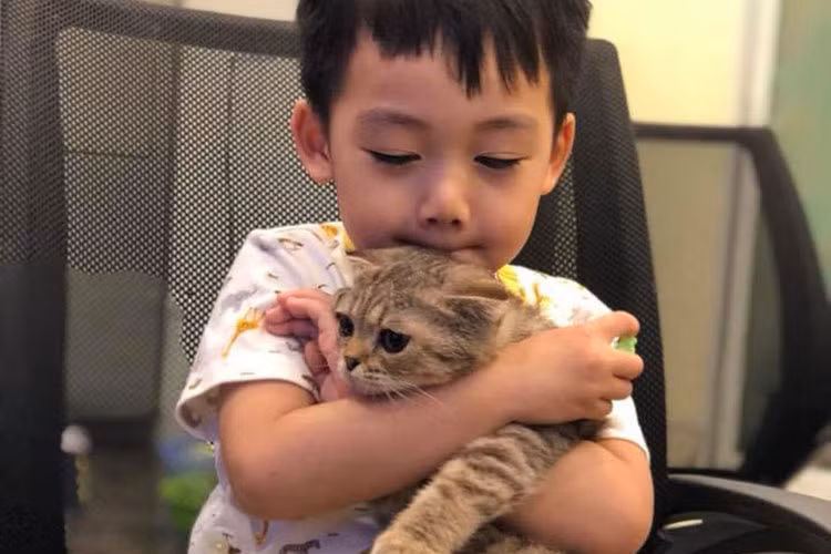 Con trai của siêu mẫu Ngọc Thạch rất yêu quý loài mèo.