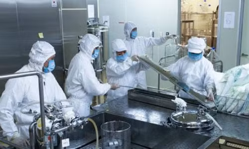 Bo Y te cap phep luu hanh vacxin phoi hop soi-rubella do VN san xuat