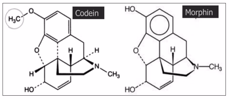 Thuoc chua codein giam dau, giam ho: Than trong keo loi bat cap hai-Hinh-2