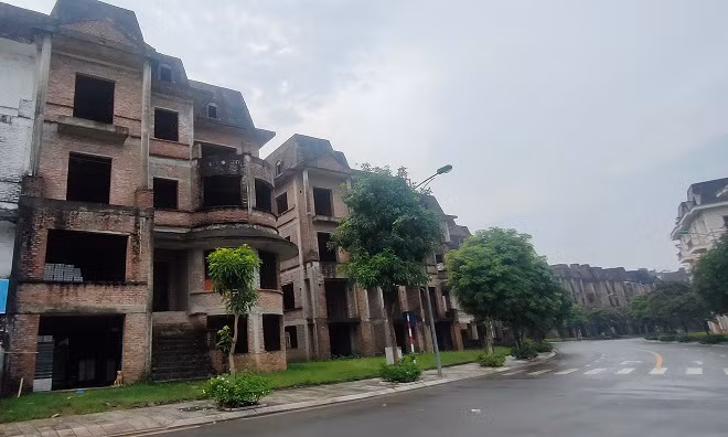 Hoai Duc (Ha Noi): La Liet biet thu “trieu do” bo hoang, ha tang xuong cap-Hinh-2