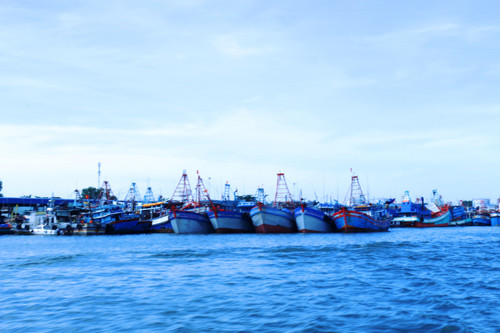 Đến khuya nay 23/12, tại các khu vực trọng yếu ven biển ở huyện Đất Đỏ, Xuyên Mộc, Long Điền… tỉnh BR-VT, tàu thuyền của ngư dân đã vào nơi neo đậu an toàn.