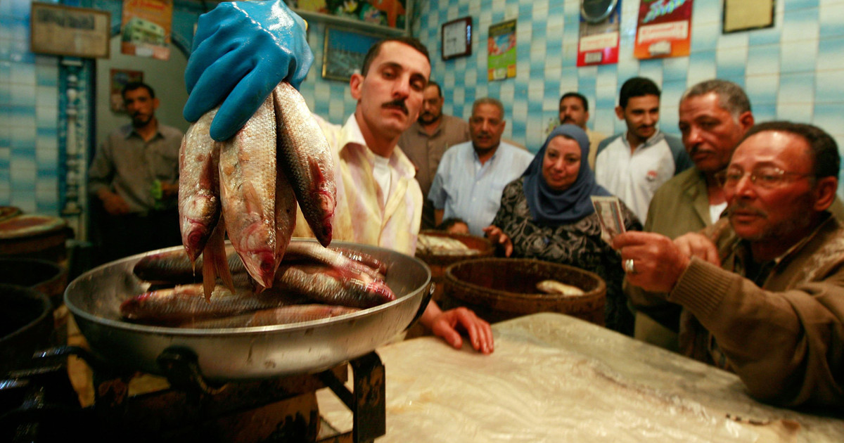 Tại quốc gia này cũng đã ghi nhận nhiều trường hợp tử vong do ăn cá đối lên men. Ảnh: pri.