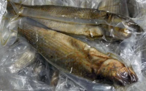 Tuy nhiên, nếu chế biến không đúng cách, cá đối lên men sẽ trở thành món ăn gây hại cho người dùng. Ảnh: zuza.