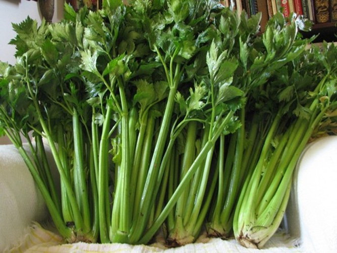 Thường xuyên ăn cần tây còn giúp ngăn ngừa và điều trị các vết loét đau đớn. Ảnh: phunusuckhoe.