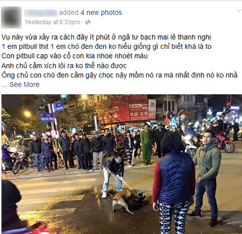Hang loat vu bi cho Pit bull tan cong da man tren pho HN-Hinh-2