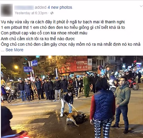 Hang loat vu bi cho Pit bull tan cong da man tren pho HN-Hinh-2