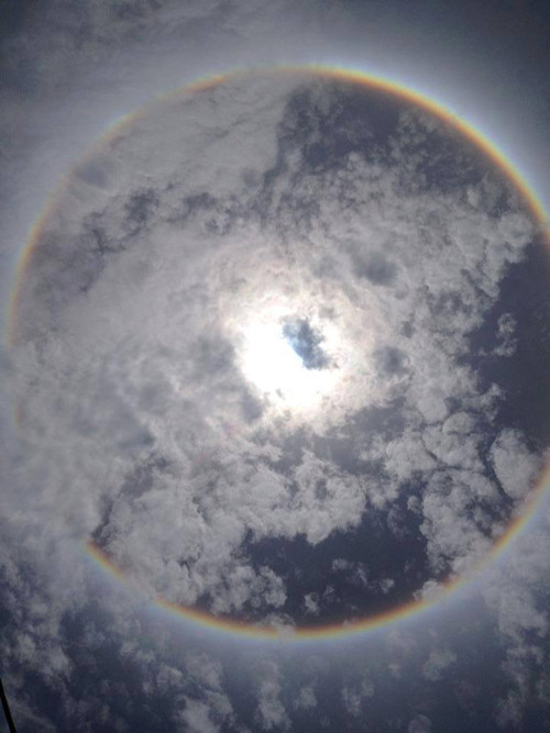 Quầng mặt trời là hiếm gặp, tuy nhiên, hiện tượng này từng xuất hiện ở Đà Lạt, Lào Cai, Đà Nẵng...