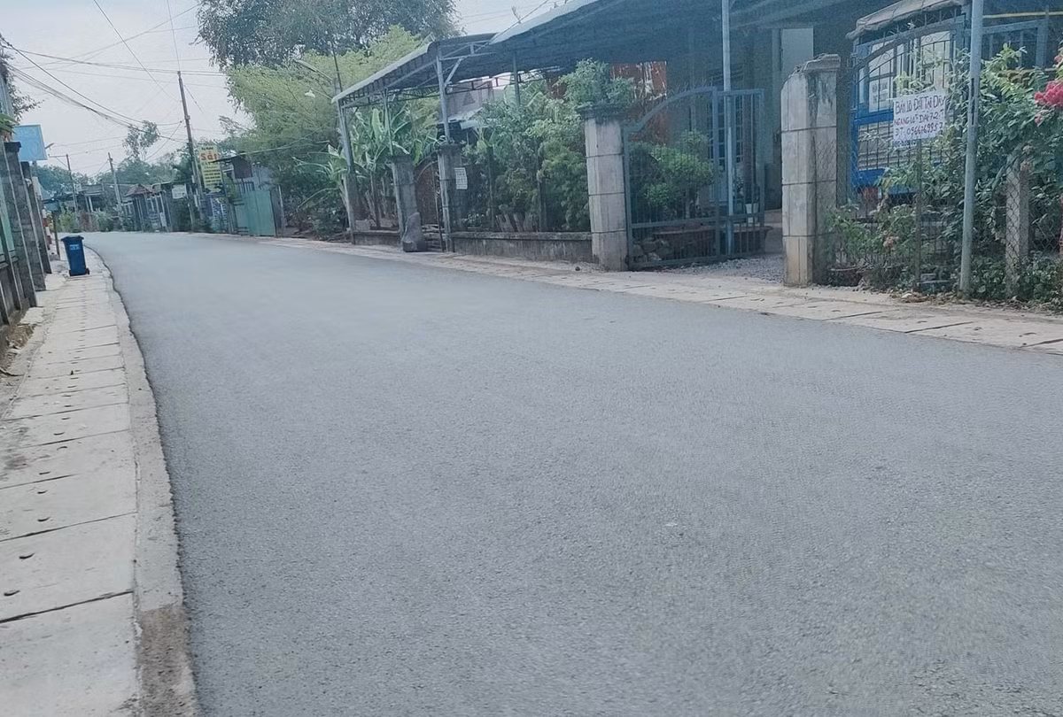 Dong Nai: Cong ty Huu Vong “mot minh mot ngua” lieu co trung thau?-Hinh-2