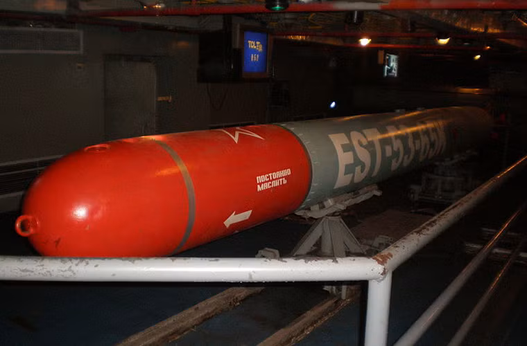 Cụ thể, 4 ống phóng 533mm có thể triển khai ngư lôi Type 65-76 chuyên dùng chống tàu sân bay Mỹ (tầm bắn 50km, đầu đạn 557kg) và Type 53-65K (tầm bắn 19km, đầu đạn 307kg). Ngoài ra, nó có thể triển khai ngư lôi nhanh nhất thế giới VA-111 Shkval.