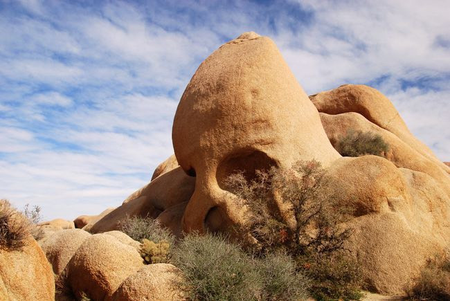 Skull Rock là một tảng đá granit trong Vườn quốc gia Joshua Tree của California với những chỗ lõm giống như một chiếc đầu lâu. Qua nhiều năm, trước sự bào mòn của điều kiện thời tiết khắc nghiệt khiến cho tảng đá granit có hình dáng như hiện tại. Nguồn: HanaBilikova/Getty Images.