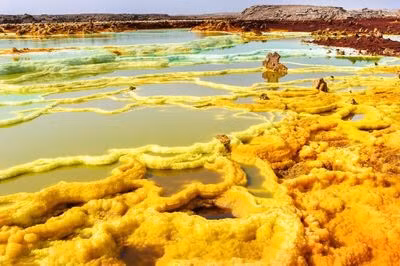 Danakil Depression còn là một cảnh quan đầy màu sắc, không kém phần nổi bật với các mỏ lưu huỳnh và muối có màu vàng và xanh lục tươi sáng. Đây cũng là một trong những nơi nóng nhất và nằm ở vị trí thấp nhất trên hành tinh. Nguồn: Aleksandra H. Kossowska/Shutterstock
