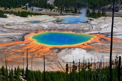Grand Prismatic Spring là suối nước nóng lớn nhất trong Vườn Quốc gia Yellowstone và màu sắc giống như cầu vồng nổi bật. Grand Prismatic Spring là nơi sinh sống của nhiều loại vi khuẩn sắc tố phát triển mạnh dọc theo các rìa giàu khoáng chất của nó. Nguồn: Clement Bardot/Wikimedia Commons/CC BY-SA 4.0