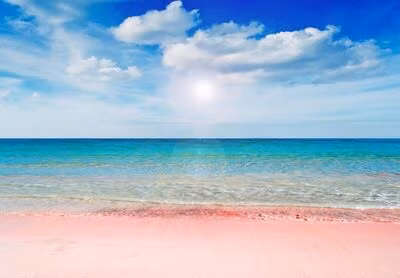 Cát ở Spiaggia Rosa của Sardinia chứa các mảnh san hô và vỏ sò mang lại màu hồng tươi. Khi tương phản với làn nước trong xanh như pha lê, bãi biển màu hồng thực sự nổi bật. Nguồn: Gabriele Maltinti /Shutterstock