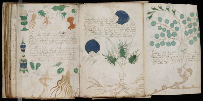 Bản thảo Voynich - "bản thảo bí ẩn nhất thế giới" gồm 240 trang, được viết bằng một ngôn ngữ hoàn toàn không được biết đến, chứa đầy những hình vẽ màu sắc với các sơ đồ và các loài thực vật. Những dòng chữ bí ẩn này ra đời trong khoảng giữa năm 1404 và 1438. Nguồn Elusive Muse/flickr