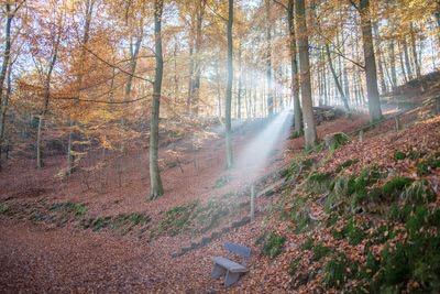 Vương quốc Luxembourge, nằm giữa Pháp, Đức và Bỉ, có diện tích khoảng 2.856km, còn được biết đến là tiểu Thụy Sĩ khi có phong cảnh đồng quê đẹp như tranh vẽ của những ngọn đồi nhấp nhô, cao nguyên cây cối rậm rạp và những khối đá cao chót vót. Nguồn: Tristan Schumurr/Flickr/CC BY 2.0