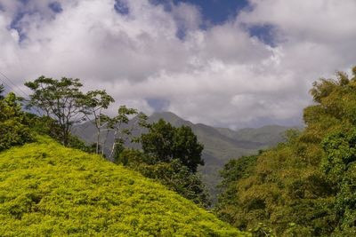 Grenada, quốc gia nhỏ bé chỉ 344km vuông ở đây có một số ngọn núi lửa và các khu bảo tồn thiên nhiên rộng lớn. Nguồn: Chris Favero/Flickr/CC BY-SA 2.0