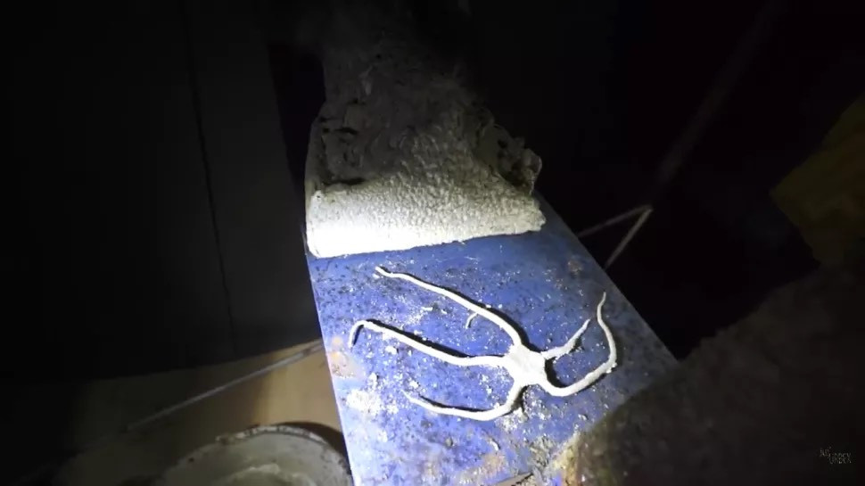 Ngoài ra còn có 2 con sao biển đã bị ướp khô, do đố cơ thể của chúng không bị thối rữa. Các nhà thám hiểm đã không tiết lộ vị trí của thủy cung, tuy nhiên họ tiết lộ rằng nó nằm ở một nơi nào đó ở Tây Ban Nha và đã bị đóng cửa vào năm 2014 sau khi một con sóng cao 43 foot (13 mét) làm hư hại. Nguồn: Juj 'Urbex.