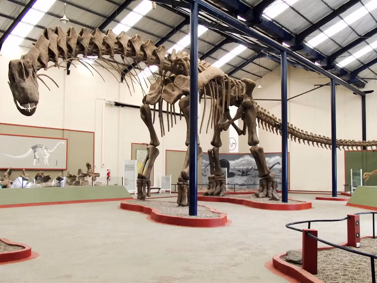 Khủng long Argentinosaurus, dựa trên các hóa thạch hiện có một số bộ phận của loài này, các nhà khoa học ước tính nó dài khoảng 40 mét, nặng khoảng 100 tấn. Nguồn: William Irvin Sellers, Lee Margetts, Rodolfo Aníbal Coria, Phillip Lars Manning.