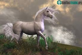 Vào thế kỷ thứ tư trước Công nguyên Ctesias, một bác sĩ và nhà sử học, đã viết lại những câu chuyện của những du khách Ấn Độ và mô tả những con ngựa có kích thước như "con lừa hoang dã" với thân hình trắng, mắt xanh, đầu đỏ và một chiếc sừng nhiều màu, dài khoảng 1,5 feet (0,5 mét). Nguồn: Kênh 14.