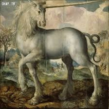 Theo AMNH, vào thời Trung cổ, các thương nhân đã mang ngà của kỳ lân biển (Monodon monoceros ) đến các thị trường châu Âu và bán chúng như sừng "kỳ lân". Kỳ lân biển là loài cá voi có răng đến từ Bắc Cực. Theo Trung tâm khoa học Địa cực của Đại học Washington, kỳ lân biển đực sở hữu một chiếc răng dài từ 6,6 đến 9,8 feet (2 đến 3 m) giống như một chiếc sừng. Nguồn: Ohay.TV.