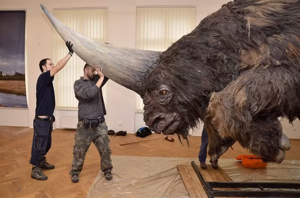 "Kỳ lân" dường như là sự kết hợp của các loài động vật khác nhau, trong đó có cơ thể của một con hươu, đuôi của một con bò, một bộ lông nhiều màu hoặc có vảy giống như rồng và một chiếc sừng. Kỳ lân được miêu tả là loài sinh vật sống đơn độc. Nguồn: Kênh 14. 