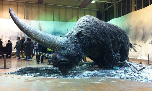 Polo, nhà thám hiểm người Ý nhận thấy những câu chuyện về kỳ lân không hoàn toàn khớp với thực tế khi ông đi du lịch qua châu Á. Ông mô tả sinh vật này có một chiếc sừng lớn, màu đen; có bộ lông trâu; và bàn chân như một con voi. Nguồn: Kienthuckhoahoc.