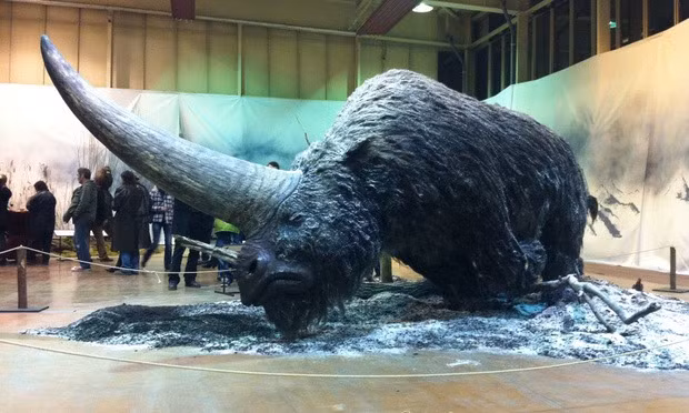 Polo, nhà thám hiểm người Ý nhận thấy những câu chuyện về kỳ lân không hoàn toàn khớp với thực tế khi ông đi du lịch qua châu Á. Ông mô tả sinh vật này có một chiếc sừng lớn, màu đen; có bộ lông trâu; và bàn chân như một con voi. Nguồn: Kienthuckhoahoc.