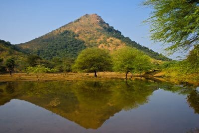 Arunachala, ngọn đồi thánh ở Tamil Nadu, Ấn Độ, được cho là hình thành từ một cột ánh sáng được tạo ra bởi Shiva, người đang cố gắng kết thúc cuộc tranh cãi giữa Brahma và Vishnu về việc ai lớn hơn. Dưới chân đồi là Đền Annamalaiyar, thánh địa Shiva dành riêng cho những người theo Ấn Độ giáo. Nguồn: Natalia Zakharova/Getty Images.