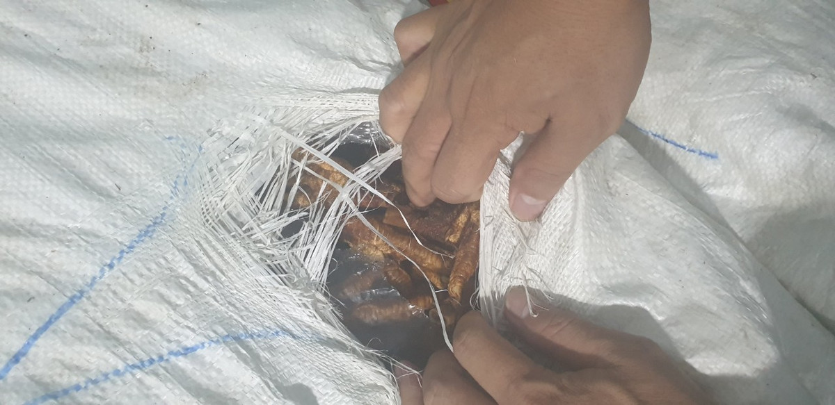 Lai Châu: Phát hiện, thu giữ gần 2 tấn chân gà bốc mùi hôi thối - Hình 2 Lai Chau: Phat hien, thu giu gan 2 tan chan ga boc mui hoi thoi-Hinh-2