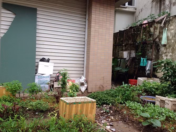 Những căn biệt thự ngót nghét chục tỷ đồng trở thành bãi rác tự phát trong khu đô thị.