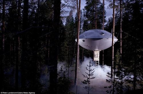 Khu khách sạn trên cây Treehotel ở phía Bắc Stockholm là một trong những khách sạn kỳ lạ nhất thế giới. Khu khách sạn có nhiều loại phòng nghỉ vô cùng độc đáo, có phòng được thiết kế như một đĩa bay, có phòng giống chiếc tổ chim lơ lửng... Trong ảnh là một phòng ngủ khách sạn bằng kim loại kỳ lạ ở độ cao 6m giữa rừng cây.