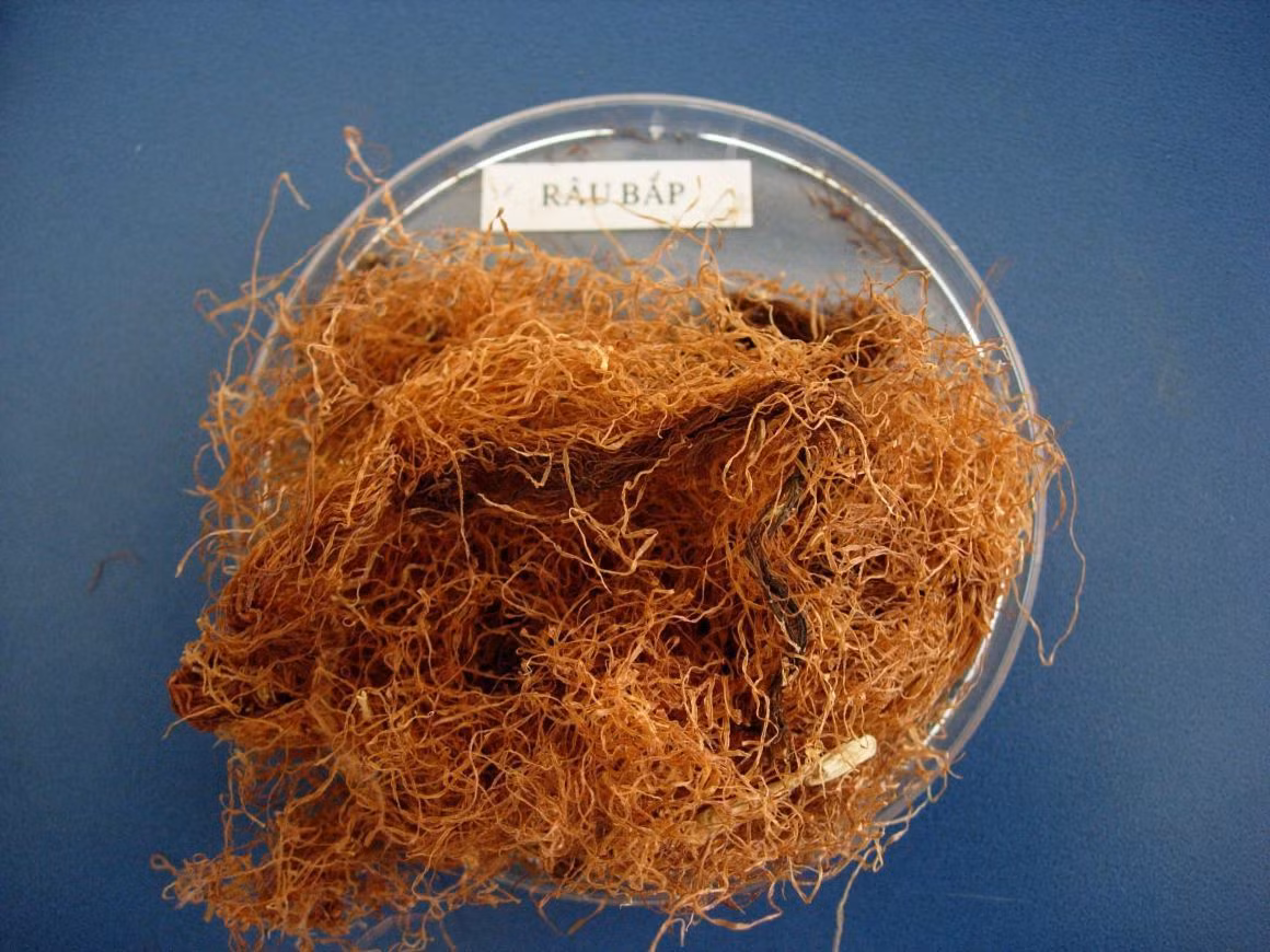 Đối với râu ngô đã khô, bạn có thể áp dụng cách pha hãm như hãm trà thường ngày, dùng nước râu ngô để uống thay trà.