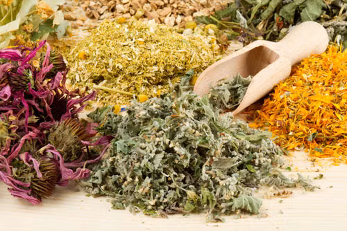 Tiet lo sai lam khi dieu tri ung thu cua Steve Jobs-Hinh-2