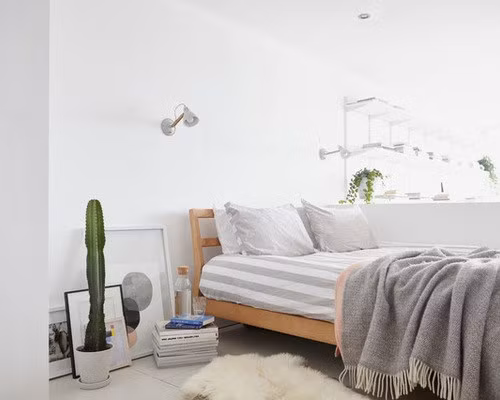 Phòng ngủ cũng không phải là vị trí thích hợp để đặt chậu xương rồng. Những chiếc gai nhọn mang hàm ý đối đầu, khiến tình cảm vợ chồng sứt mẻ. Ảnh: Houzz.