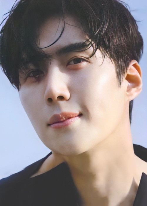 Trong chương trình “2 days 1 night”, Kim Seon Ho xây dựng hình ảnh chàng trai vụng về và ngốc nghếch nên thường xuyên trở thành mục tiêu của các trò đùa. Ảnh: WKorea